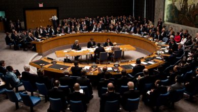 United Nations Security Council