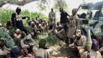 Boko Haram - Islamic State West Africa Province