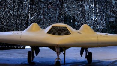 Iran "Saegheh" ("Thunderbolt") long-range drone