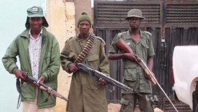 Nigeria's Civilian JTF