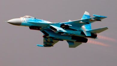 Ukraine Air Force Su-27