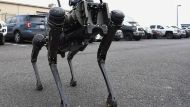 Robot dog