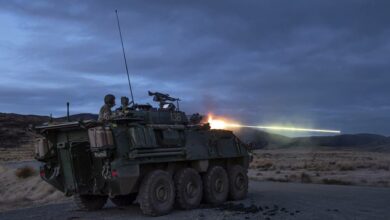 NZLAV