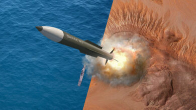 Barak air defense system