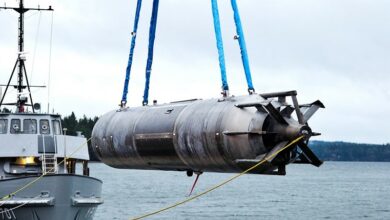 Snakehead large underwater vehicle
