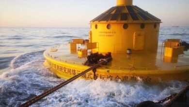 Chinese buoy