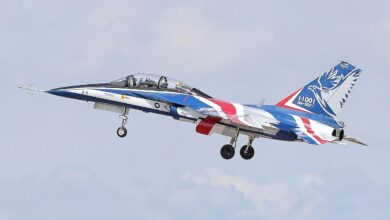 Taiwan's Brave Eagle
