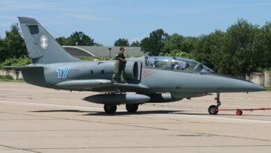 A Lithuanian Air Force Aero L-39ZA Albatros is seen parked in a wide-open cemented field. The gray aircraft has the number 17 painted on its side, by the tail. A soldier wearing green fatigues is seen standing on its wing and leaning on its body. The background is a tree-filled area with a clear blue sky farther in the back.