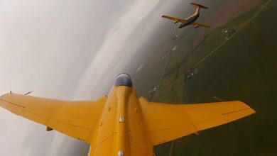 L-29 Delfin jets