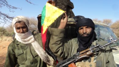 Mali rebels
