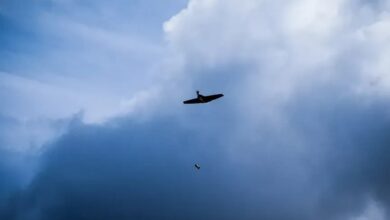 Ukraine's B-1 unmanned aerial vehicle in flight