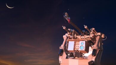 Sky Sentinel