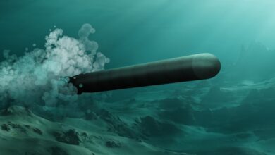 Lockheed Martin delivers its 250th guidance system for the MK 48 torpedo.