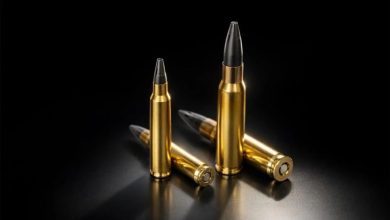 Several rifle cartridges with brass casings and pointed bullets displayed against a black background.