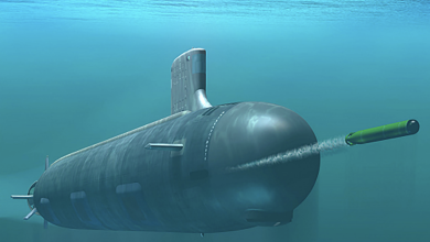 Mk 48 torpedo