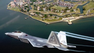 F-22 Raptor