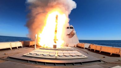 Naval Cruise Missile